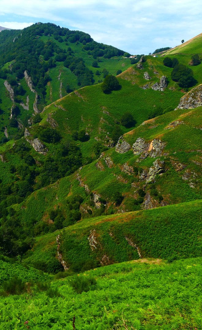 Ossès